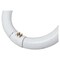 SUNLITE 22w G10q T9 4-Pin Circline Ceiling Lights 3000K Warm White Lamp
